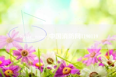 汉川中国消防网1190119