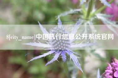 汉川中国执行信息公开系统官网