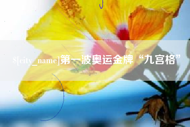 汉川第一波奥运金牌“九宫格”