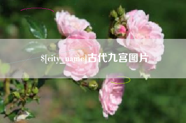 汉川古代九宫图片
