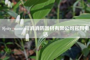 汉川川消消防器材有限公司官网电话