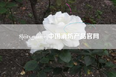 汉川中国消防产品官网