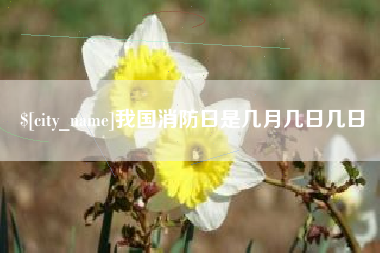 汉川我国消防日是几月几日几日