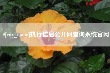 汉川执行信息公开网查询系统官网