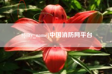 汉川中国消防网平台
