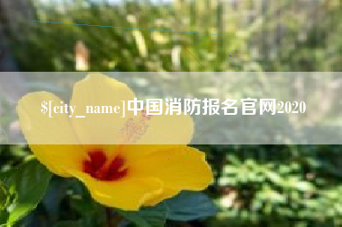 汉川中国消防报名官网2020
