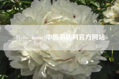 汉川中国消防网官方网站