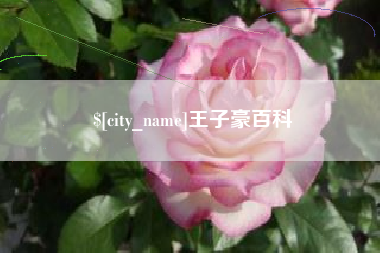 汉川王子豪百科