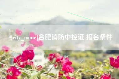汉川合肥消防中控证 报名条件