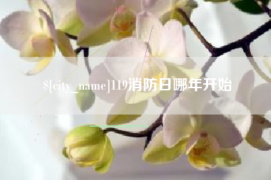 汉川119消防日哪年开始