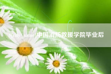 汉川中国消防救援学院毕业后