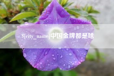 汉川中国金牌都是啥