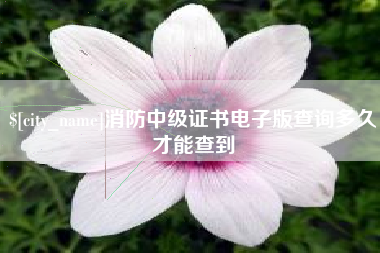 汉川消防中级证书电子版查询多久才能查到