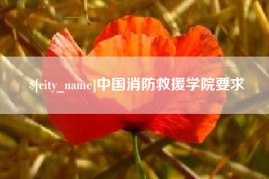 汉川中国消防救援学院要求