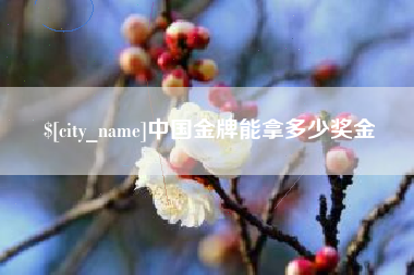 汉川中国金牌能拿多少奖金
