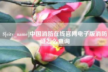 汉川中国消防在线官网电子版消防证怎么查询