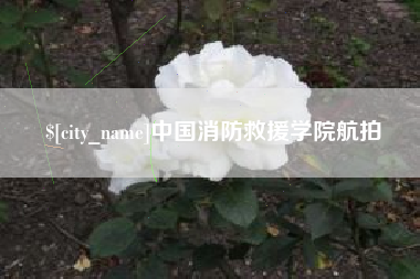 汉川中国消防救援学院航拍