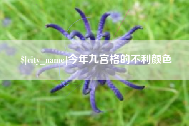 汉川今年九宫格的不利颜色