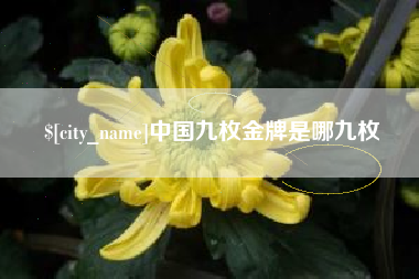 汉川中国九枚金牌是哪九枚