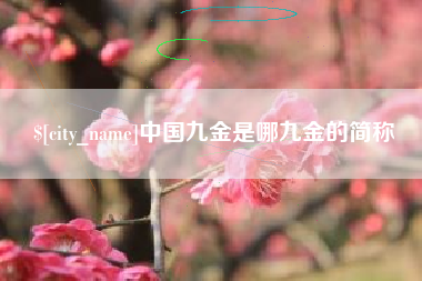汉川中国九金是哪九金的简称