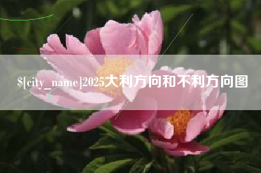 汉川2025大利方向和不利方向图