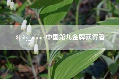 汉川中国第九金牌获得者