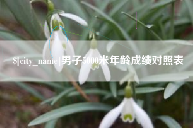 汉川男子5000米年龄成绩对照表