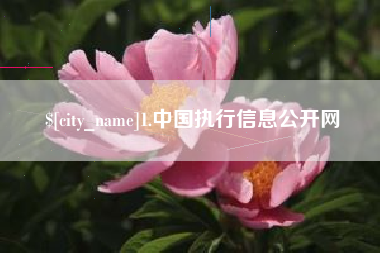 汉川1.中国执行信息公开网