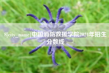 汉川中国消防救援学院2024年招生分数线