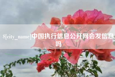 汉川中国执行信息公开网会发信息吗