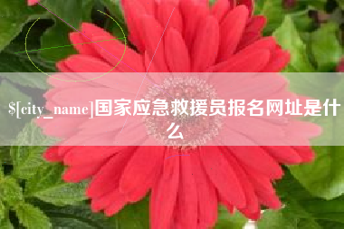 汉川国家应急救援员报名网址是什么