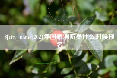 汉川2021年国家消防员什么时候报名