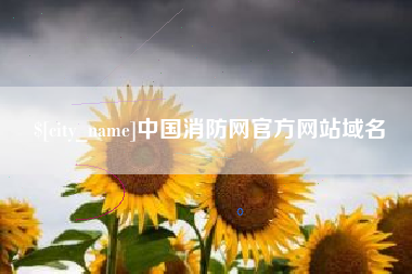 汉川中国消防网官方网站域名