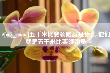 汉川五千米比赛领跑员是什么-他们就是五千米比赛领跑员