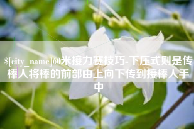 汉川60米接力赛技巧-下压式则是传棒人将棒的前部由上向下传到接棒人手中