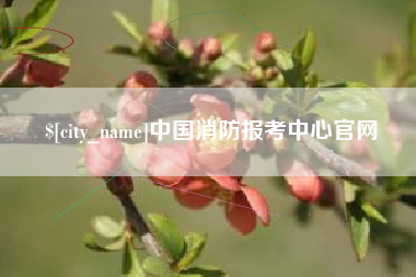 汉川中国消防报考中心官网