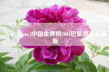 汉川中国金牌榜2024巴黎奥运会最新