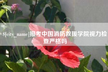 汉川报考中国消防救援学院视力检查严格吗