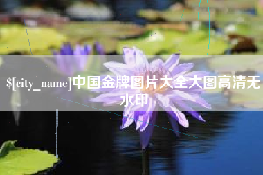 汉川中国金牌图片大全大图高清无水印