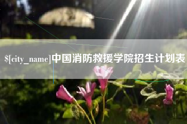 汉川中国消防救援学院招生计划表
