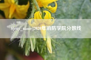 汉川2020年消防学院分数线