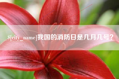 汉川我国的消防日是几月几号？