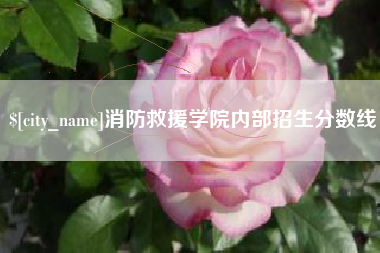 汉川消防救援学院内部招生分数线