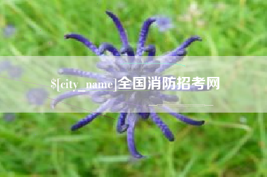 汉川全国消防招考网