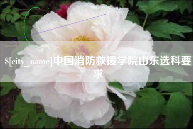 汉川中国消防救援学院山东选科要求