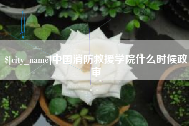汉川中国消防救援学院什么时候政审