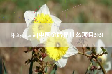 汉川中国金牌是什么项目2024