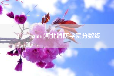 汉川河北消防学院分数线