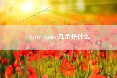 汉川九金是什么
