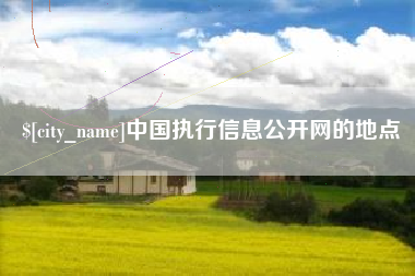 汉川中国执行信息公开网的地点
